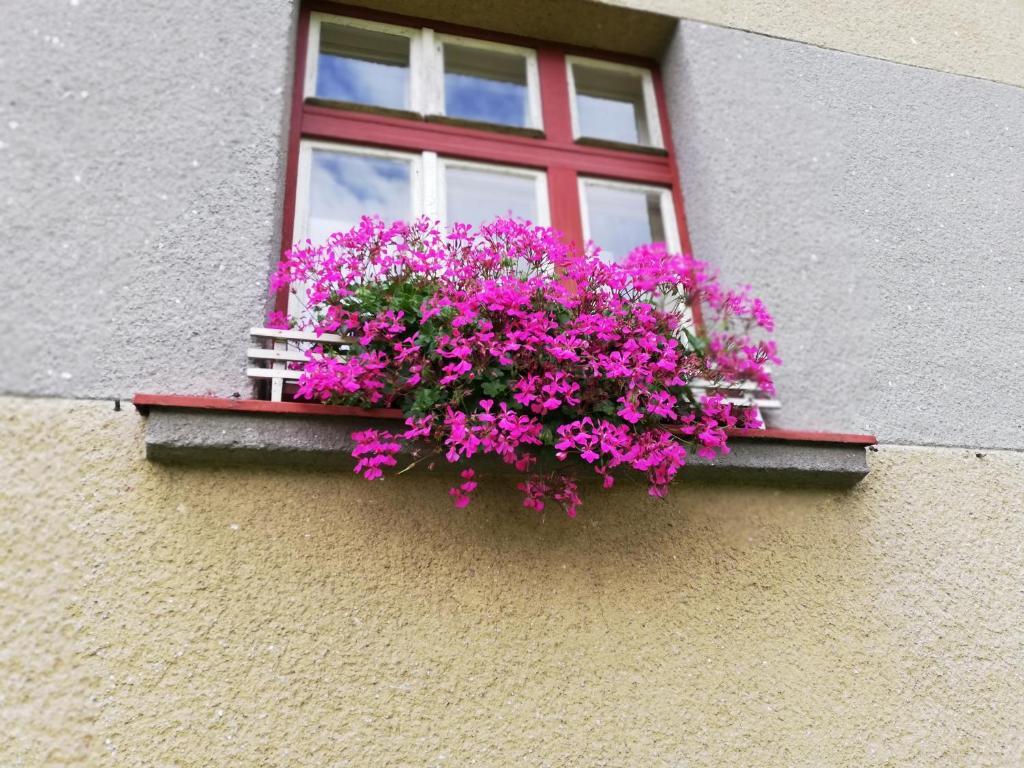 Villa Oliva Cesky Krumlov Exterior photo